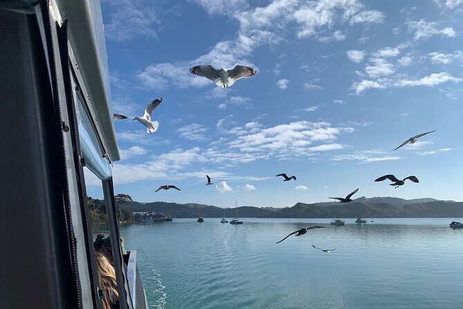 Raglan: Scenic Nature Boat Cruise - Māori pā sites on the route: cultural landmarks with respect