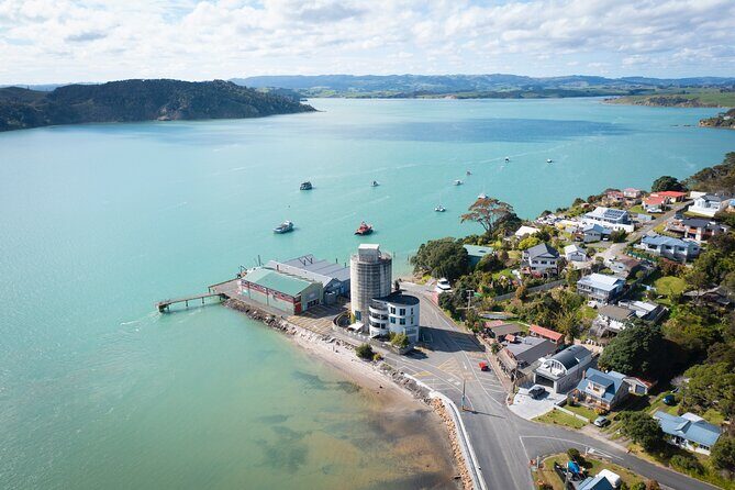 Raglan Scenic Nature Boat Cruise - Meeting point and timing: avoiding the most common small mistakes