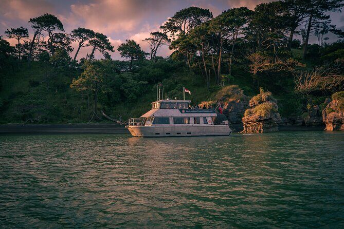 Raglan: Scenic Nature Boat Cruise - Whaingaroa Harbour and the live crew: the difference between seeing and learning