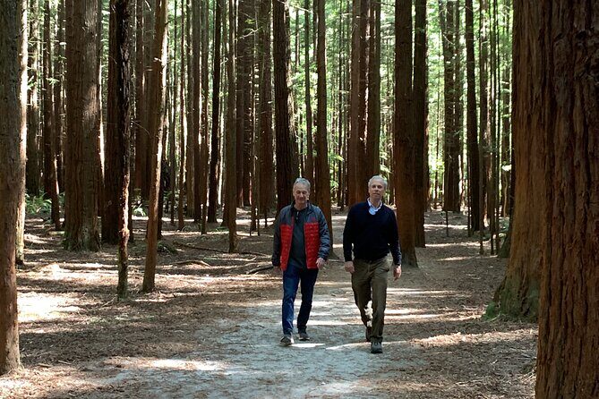 Redwood Forest , Blue Springs & Huka Falls Day Tour from Auckland - Small-Group Pacing and the Role of Sharma