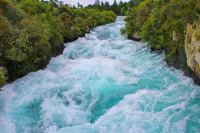 Redwood Forest , Blue Springs & Huka Falls Day Tour from Auckland - Blue Springs: Cobalt Water and a Simple Walk