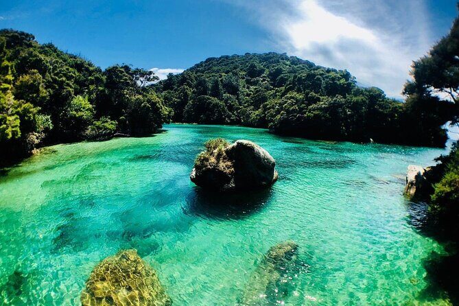 Remote Marine Reserve - Guided Kayaking - New Zealand - Tonga Island Marine Reserve Kayaking: Why the Tide Matters