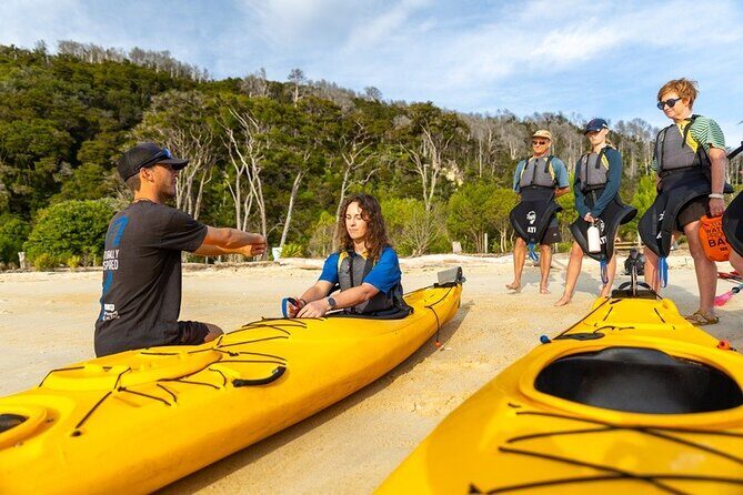 Remote Marine Reserve - Guided Kayaking - New Zealand - Wildlife and Geology: What You’ll Actually Learn From the Guide
