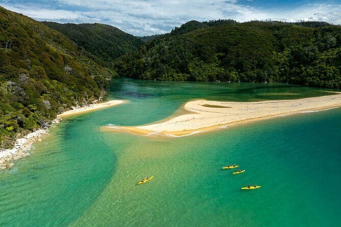 Remote Marine Reserve - Guided Kayaking - New Zealand - Price Value: Is $220.30 Worth It?