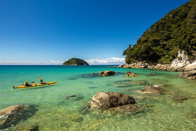 Remote Marine Reserve - Guided Kayaking - New Zealand - Awaroa to Bark Bay: Shag Harbour, Fur Seals, and Tonga Arches