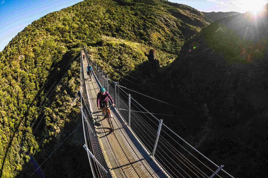 Remutaka Rail Trail eBike Shore Excursion for Cruise Ships - Cross Creek finish and the farmland ride you’ll actually remember