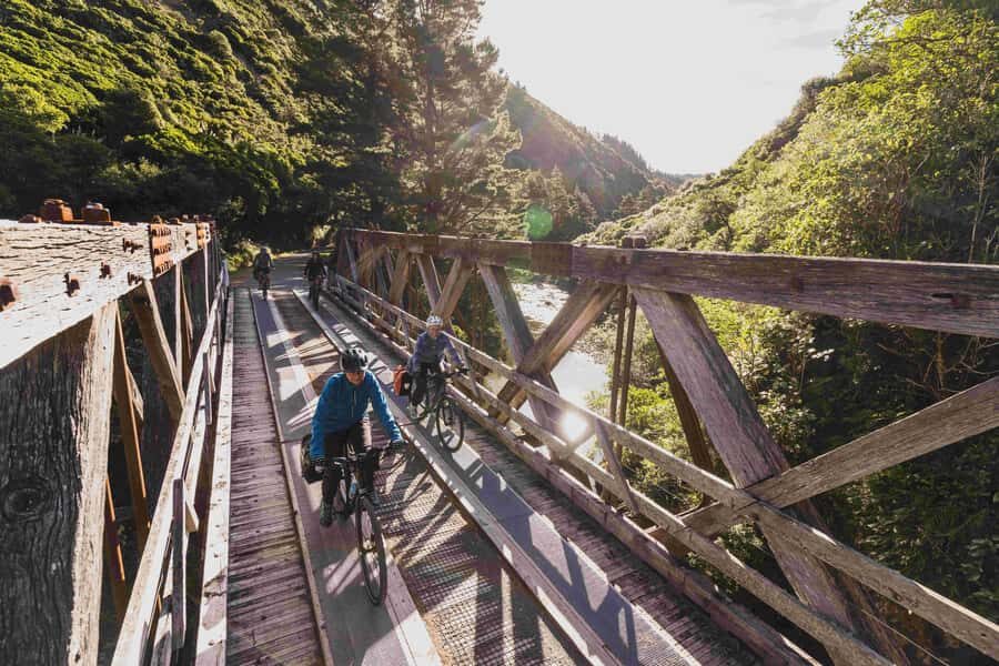 Remutaka Rail Trail eBike Shore Excursion for Cruise Ships - Cruise timing reality: getting back before the ship leaves