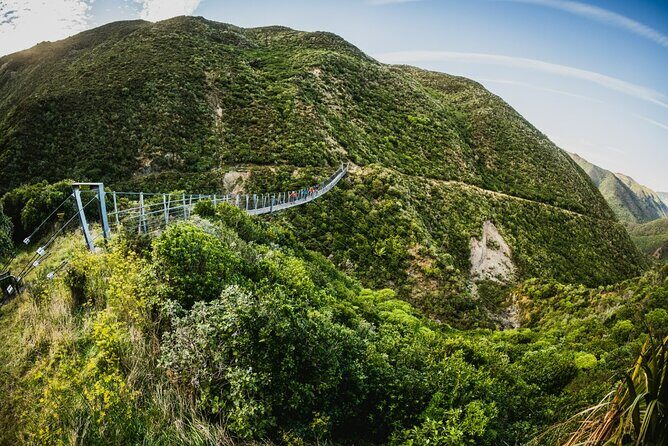 Remutaka Rail Trail Explorer - eBike Cruise Ship Shore Excursion - Weather Reality Check: When the Trail Becomes a Different Experience
