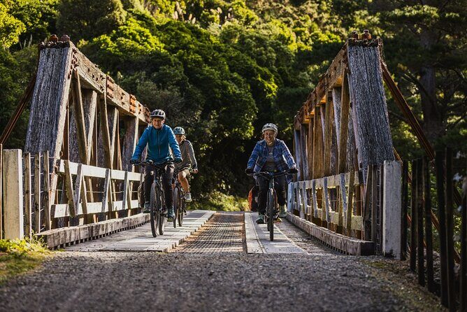 Remutaka Rail Trail- Wellington eBike Cruise Ship Shore Excursion - Key highlights to know before you go