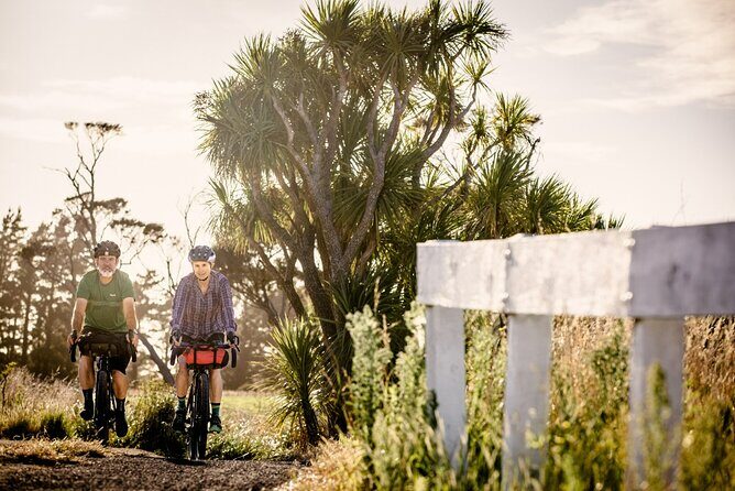 Remutaka Rail Trail- Wellington eBike Cruise Ship Shore Excursion - The “easy/moderate” reality: what 28 km feels like on this grade