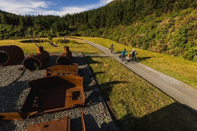Remutaka Rail Trail- Wellington eBike Cruise Ship Shore Excursion - Summit picnic lunch: your scheduled reset point