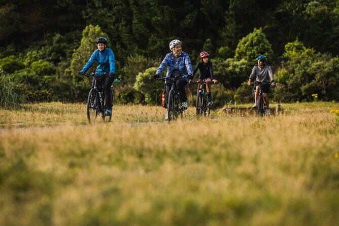 Remutaka Rail Trail- Wellington eBike Cruise Ship Shore Excursion - What’s included: food, water, bike gear, and the driver brief