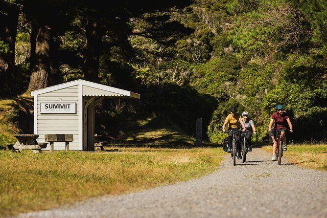 Remutaka Rail Trail- Wellington eBike Cruise Ship Shore Excursion - Kaitoke start: tunnels, bridges, and a gradual first push