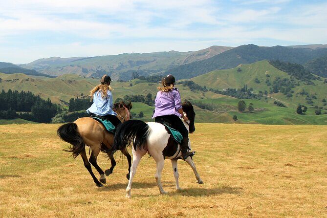 River Valley Stables - Burn The Breeze, Half Day Horse Ride For Riders - First You Pair Up: The Natural Horsemanship Start