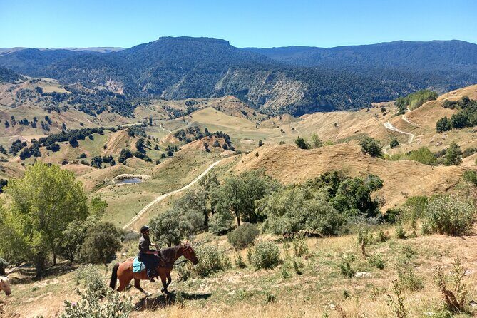 River Valley Stables - Burn The Breeze, Half Day Horse Ride For Riders - What the 3-Hour Timing Feels Like in Real Life