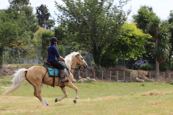 River Valley Stables - Burn The Breeze, Half Day Horse Ride For Riders - Gear and Weather: Why the Oilskins Matter