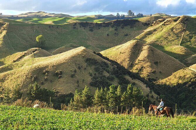 River Valley Stables - Burn The Breeze, Half Day Horse Ride For Riders - Small-Group Size: More Riding, Less Herding