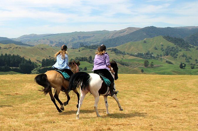 River Valley Stables - Burn The Breeze, Half Day Horse Ride For Riders - Price Check: Is $170.66 Worth It?