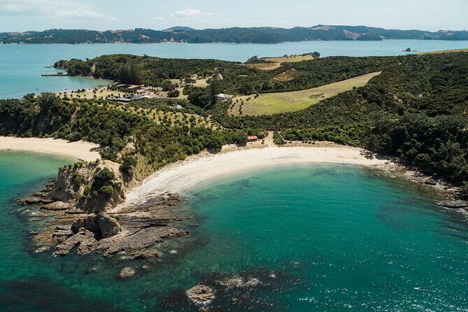 Rotoroa Island Ferry - from Auckland - Key highlights to know before you go