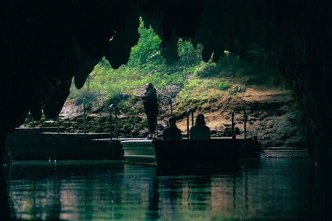 Rotorua and Waitomo Caves Day Trip from Auckland -Smaller Groups - Price and logistics: what $316.49 buys you
