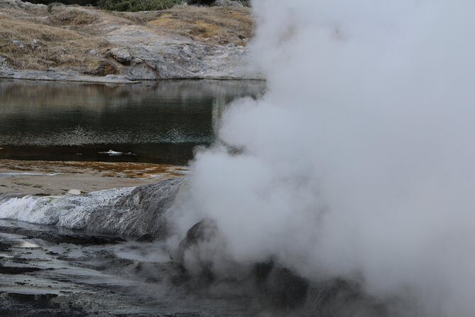Rotorua and Waitomo Caves Day Trip from Auckland -Smaller Groups - Lunch and exploring Te Puia: geysers, steam, and a real slice of Rotorua