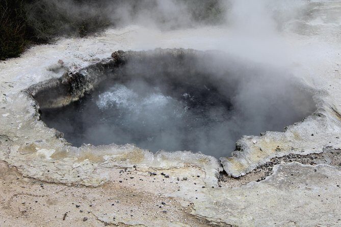 Rotorua and Waitomo Caves Day Trip from Auckland -Smaller Groups - Waitomo Glowworm Caves: the boat ride, cave rules, and claustrophobia check