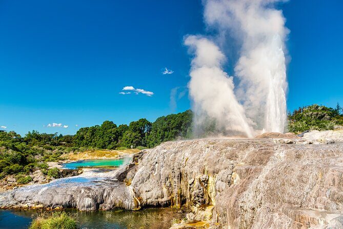 Rotorua Cultural Small Group Afternoon Tour - Key things I’d zero in on
