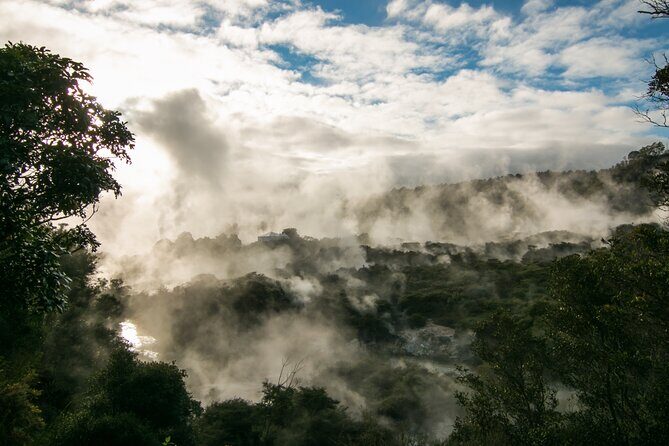 Rotorua Cultural Small Group Afternoon Tour - Why Te Puia works so well in an afternoon