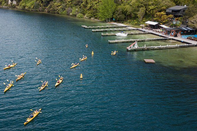 Rotorua: Daytime Scenic Lake Rotoiti Kayak Tour - Key highlights I’d anchor your decision on
