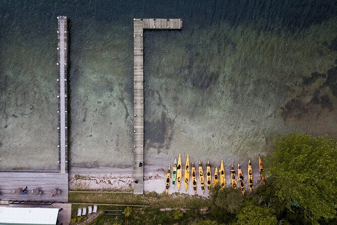 Rotorua: Daytime Scenic Lake Rotoiti Kayak Tour - Maori stories while you paddle the lake’s quieter edge