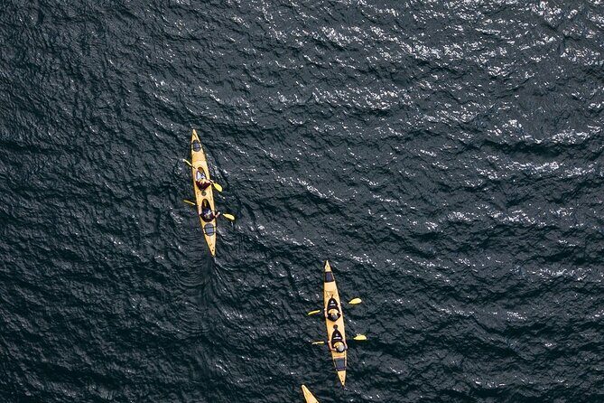 Rotorua: Daytime Scenic Lake Rotoiti Kayak Tour - Glow worm cave: a small cave moment you can actually enjoy