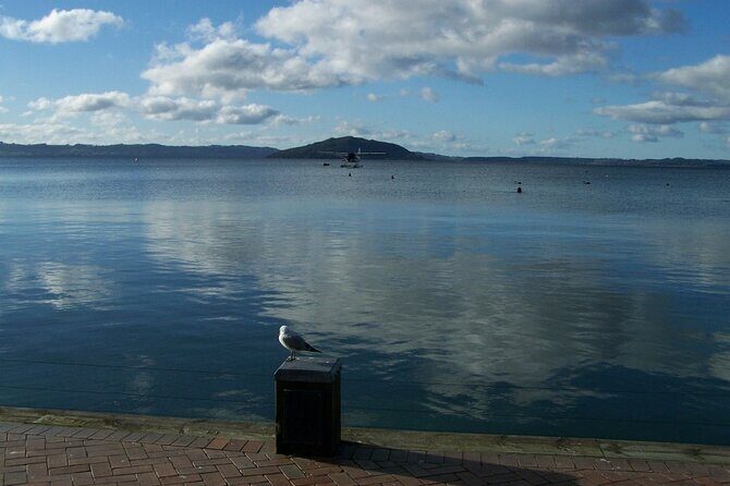 Rotorua Discovery Te Puia Tour - Rotorua city stop: use it to orient yourself