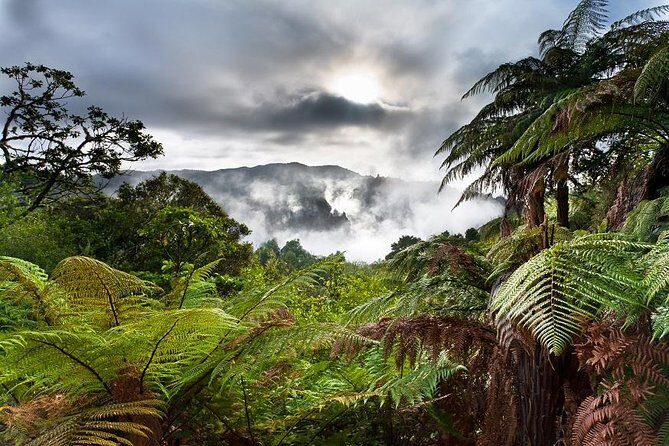Rotorua Eco Cultural full day tour (Wai o Tapu, Waimangu,Te puia) - The big idea: why this Rotorua day tour is such good value