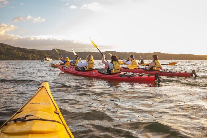 Rotorua: Evening Starlight Gourmet Kayak Tour Glowworms - Quick Reasons This Evening Kayak Tour Works