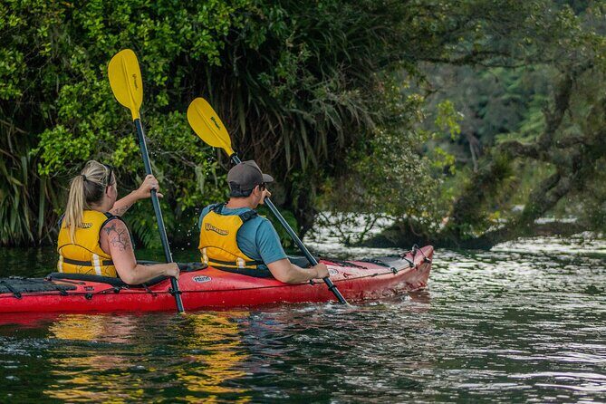 Rotorua: Evening Starlight Gourmet Kayak Tour Glowworms - BBQ Dinner at the Hot Pools: Included Comfort After Paddling