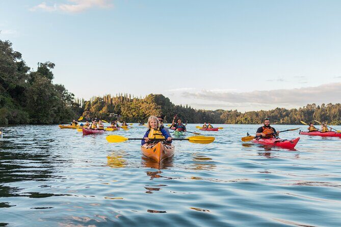 Rotorua: Evening Starlight Gourmet Kayak Tour Glowworms - Price and Value: Is $217.20 Worth It?
