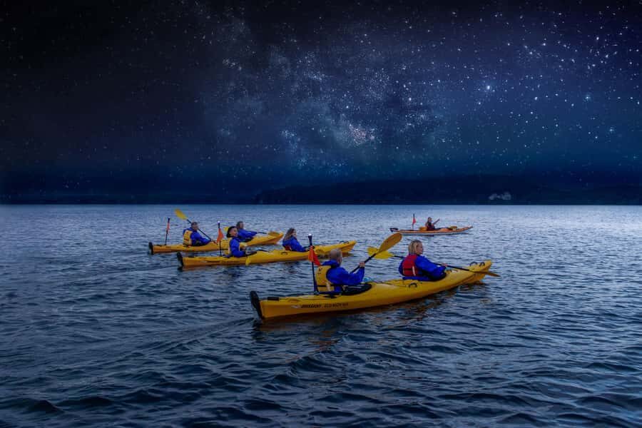 Rotorua: Evening Starlight Gourmet Kayak Tour with dinner - Lake Rotoiti at Night: Paddling, Moonlight, and Birdlife