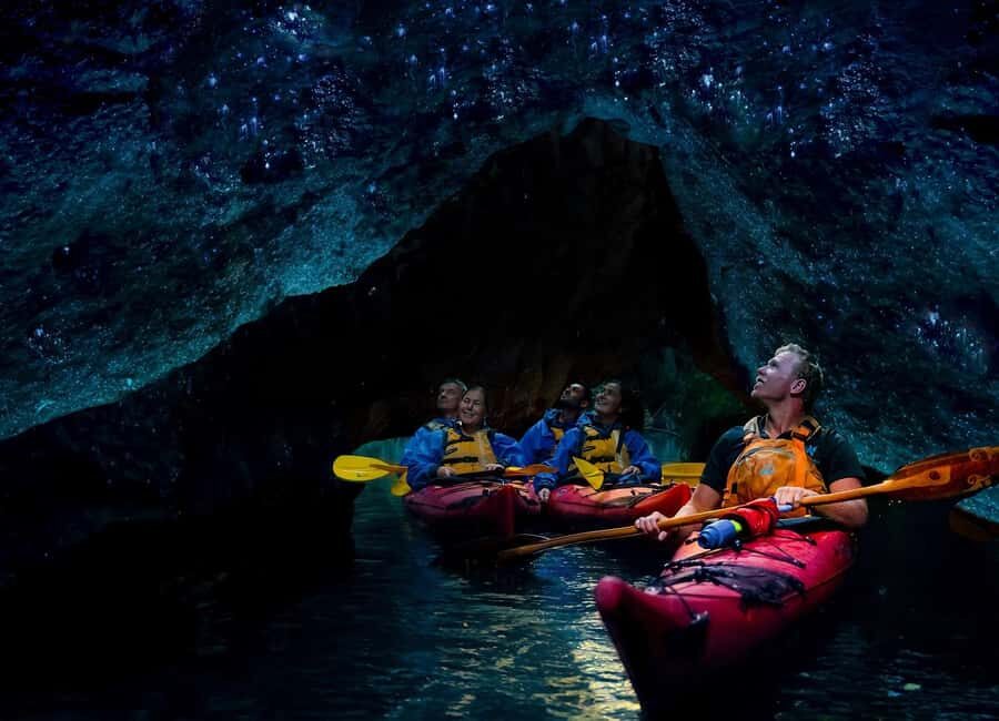 Rotorua: Evening Starlight Gourmet Kayak Tour with dinner - What You Actually Get For $209 (And Why It Adds Up)