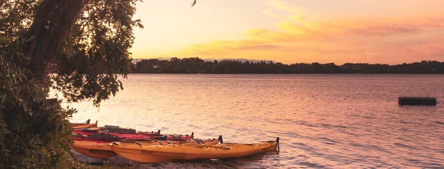Rotorua: Evening Starlight Gourmet Kayak Tour with dinner - Approaching the Glowworm Cave Without Feeling Rushed