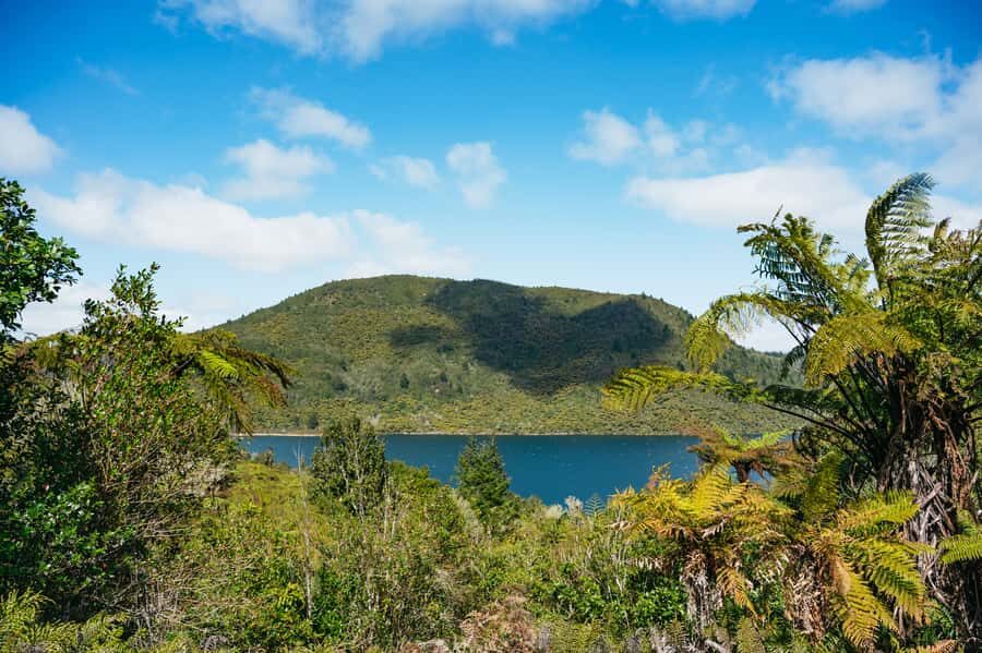 Rotorua: Explore The Lakes Half-Day Morning Tour - Key Stops and Why They Matter