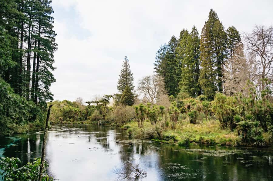 Rotorua: Explore The Lakes Half-Day Morning Tour - Price and Value: Is $89 Worth It?