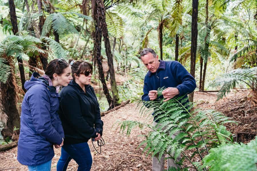 Rotorua: Explore The Lakes Half-Day Morning Tour - A Small-Group Morning Around Rotorua Lakes (4 Hours, Up to 8)