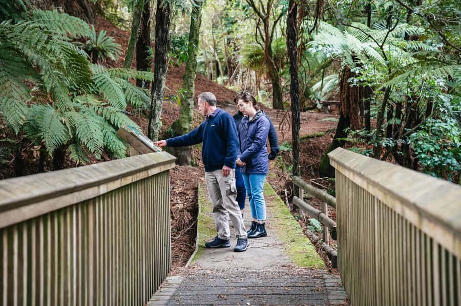 Rotorua: Explore The Lakes Half-Day Morning Tour - Guide Stephen’s Rotorua Storytelling: Flora, Fauna, and Volcanic History in Plain Talk