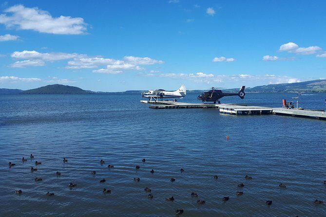 Rotorua Full Day Private Tour from Auckland - Lake Rotorua and the lakefront break: quick but worthwhile