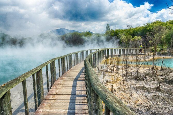 Rotorua Full Day Private Tour from Auckland - Waikato farmlands and Rotorua city touring: don’t skip the in-between