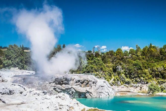 Rotorua Full Day Private Tour from Auckland - Te Puia and the Maori Arts and Crafts Institute: culture plus geothermal up close