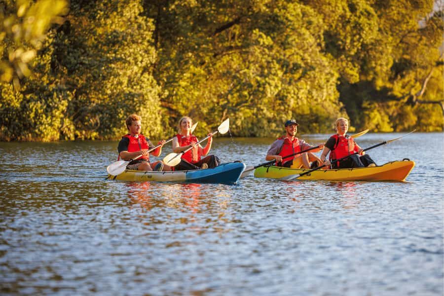 Rotorua: Glow Worm Adventure Kayak - Kiwi Snacks on a Secluded Beach: A Break You’ll Actually Appreciate