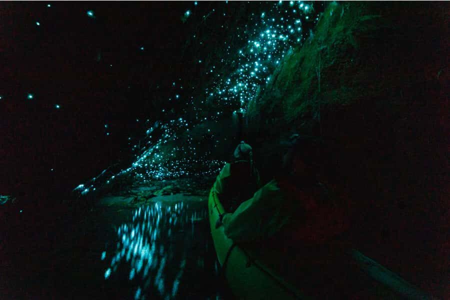 Rotorua: Glow Worm Adventure Kayak - Who Should Book This Rotorua Glow Worm Kayak Tour