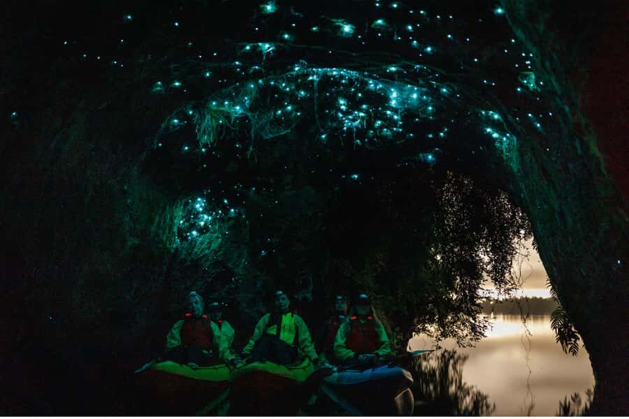 Rotorua: Glow Worm Adventure Kayak - The Night Paddle Across Lake Rotorua: Calm Rhythm, Real Water Time