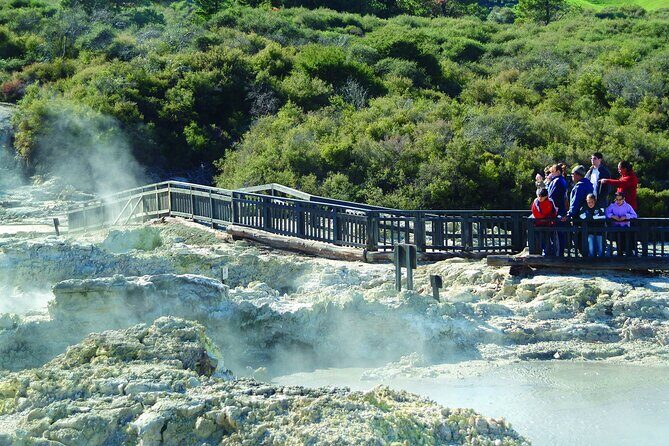 ROTORUA - Hell's Gate Geothermal Park & Mud Spa Day Trip - Mud bath and sulphur spa: the smell, the heat, and what the time limit really means